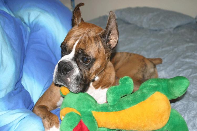 Geoffrey on the bed