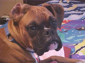 George@1yr