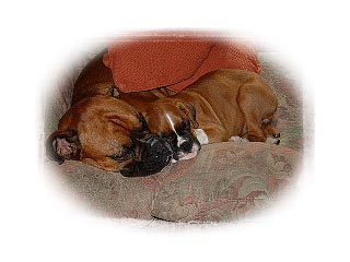 George & Amber sleeping