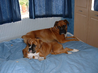 George & Amber