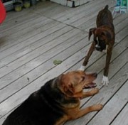 George and Cappy