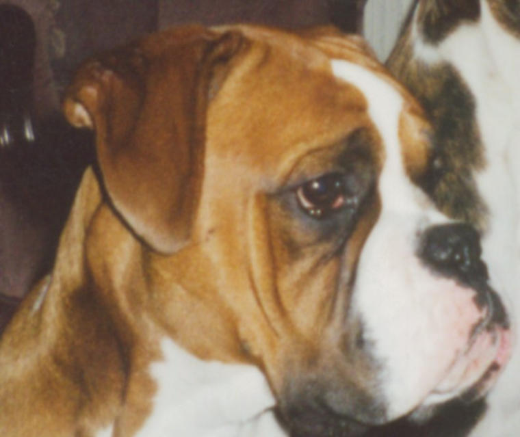 George at 1 yr