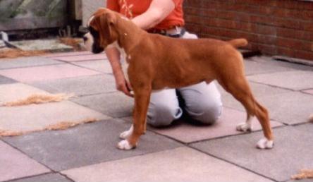 George at 14 Weeks