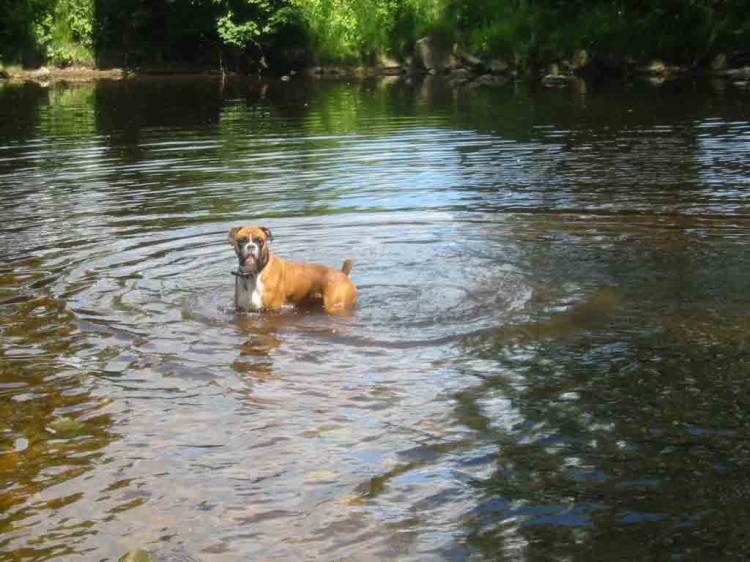 george cooling down on a hot day