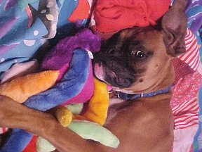 George luvs "jellyfish"