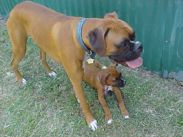 George & Mindy - 6/26/05