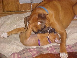 George & Mindy