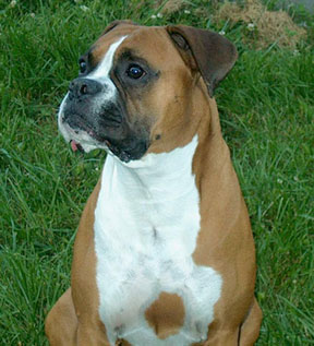 George