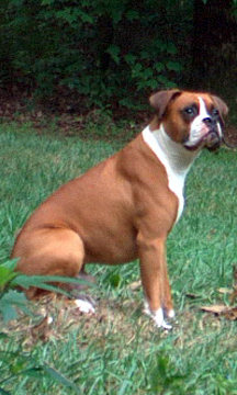 George