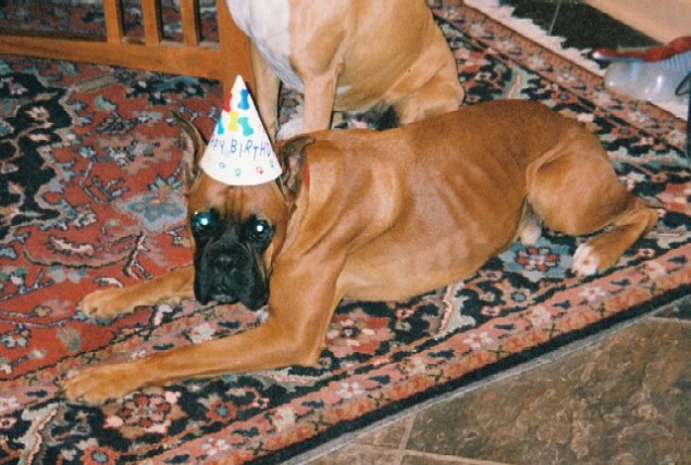 Georgebday