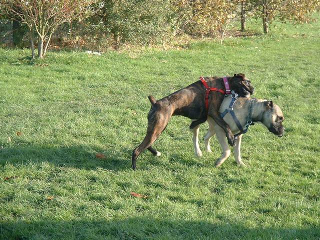 Gerroff me Lola