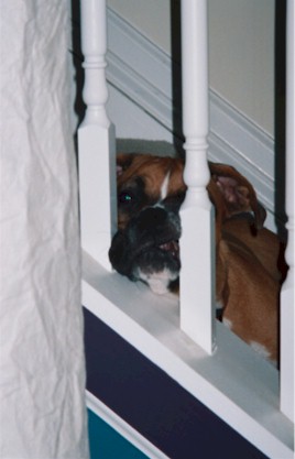 Get me OUTTA HERE!