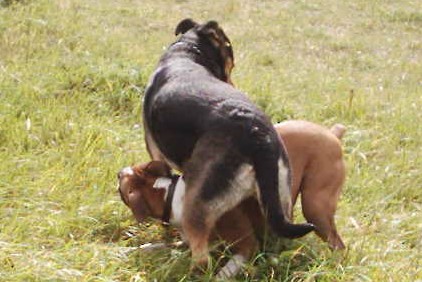 Get off me.