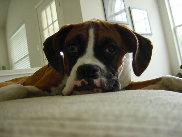 Get out of my face.