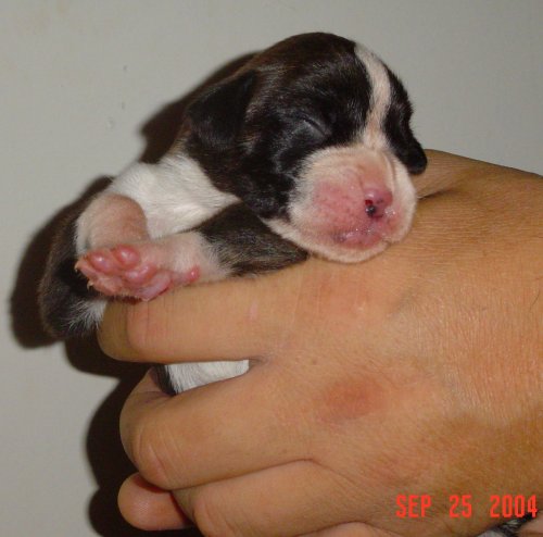 Get that light away!