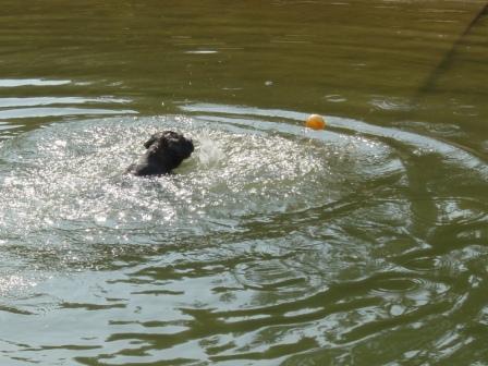 Get the ball
