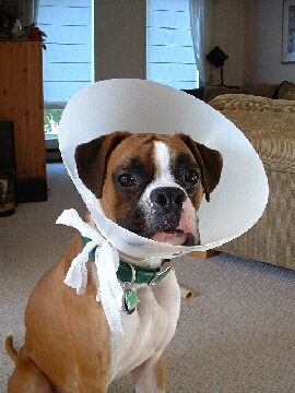 Get this thing off me!!