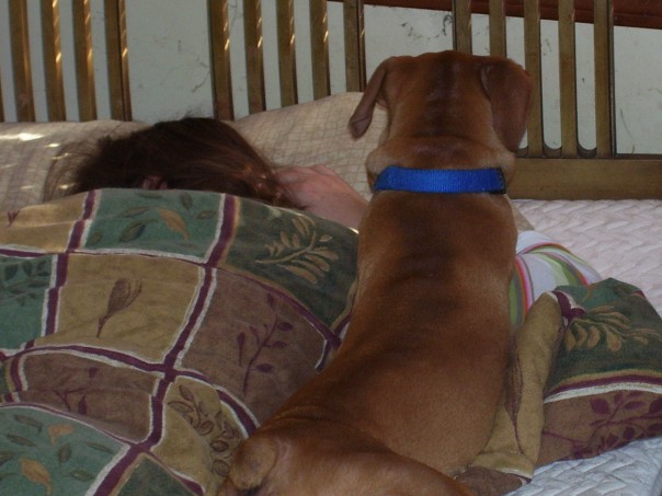 Get up Mom!