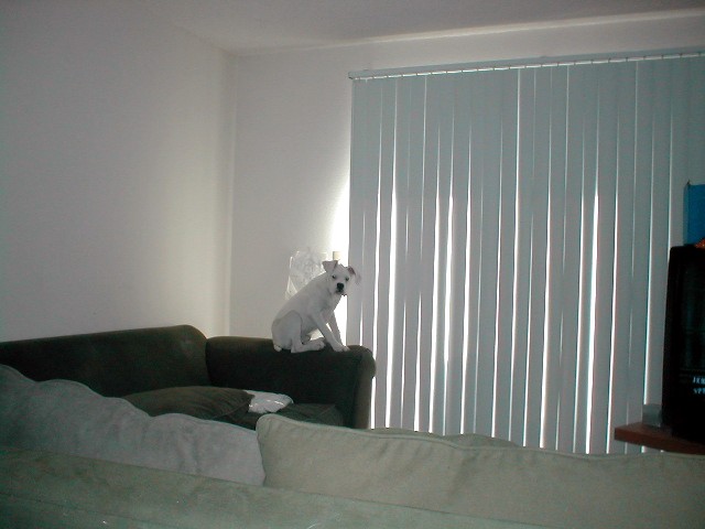 get_off_the_couch