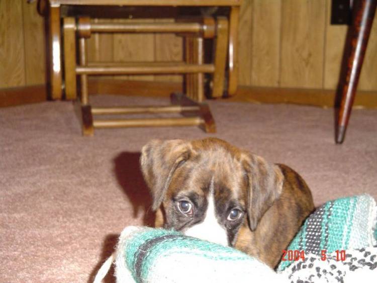 gettin Grandma's blanket
