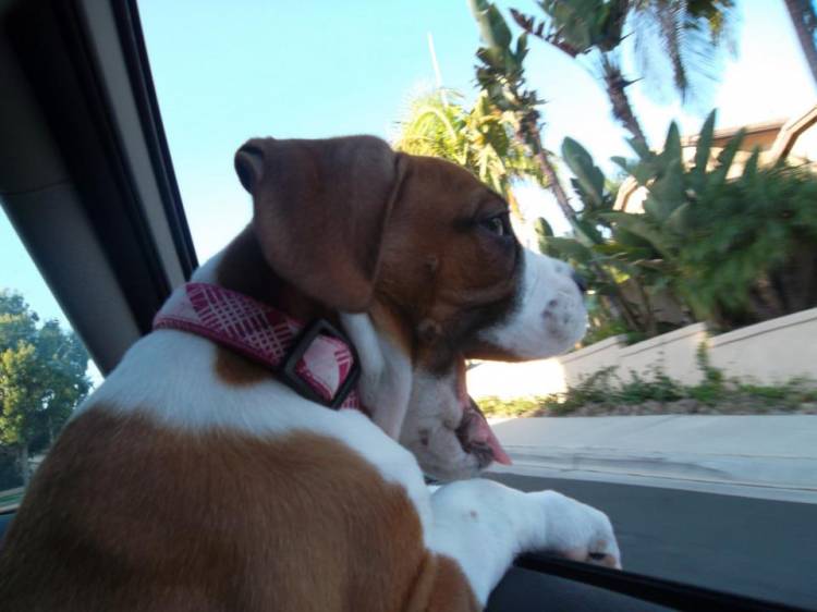 Gettin some fresh air