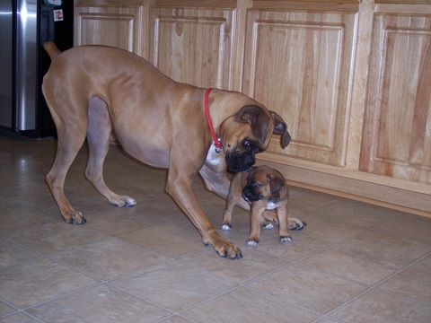 Gettin to know each other
