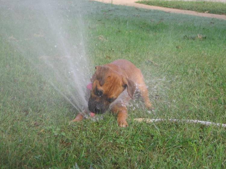 Getting a drink, and taking a shower!