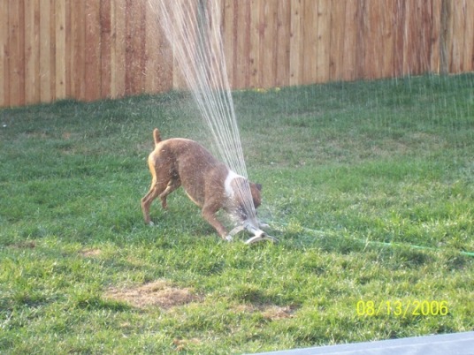 Getting a drink