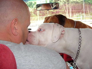 getting a kiss from a buddy