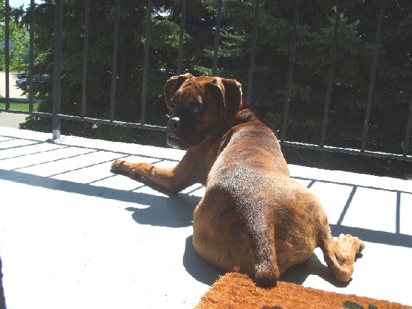 Getting a tan