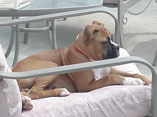 Getting big-  16 weeks!