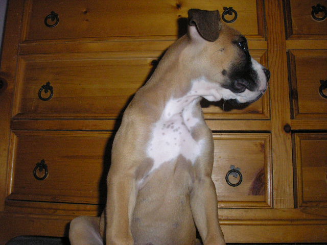 Getting Big