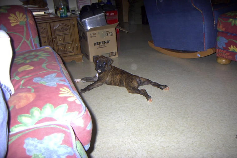 Getting Big