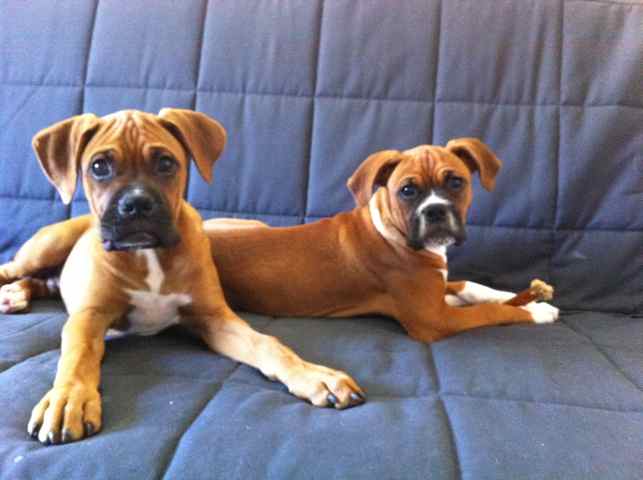 Getting big!