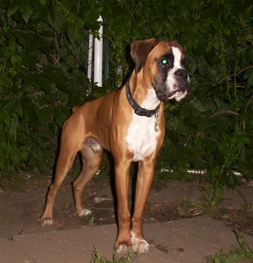 Getting bigger (7 mo)