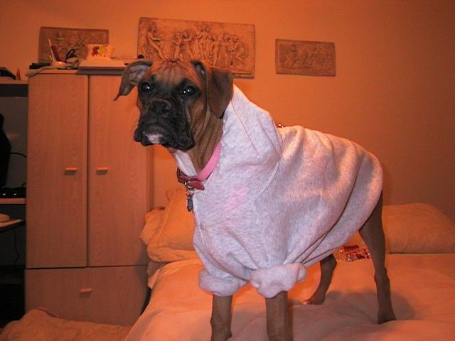 Getting ready for winter