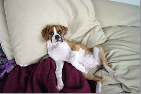 getting ready to sleep