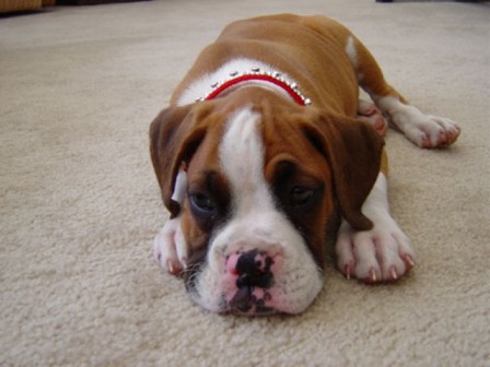 Getting Sleepy?