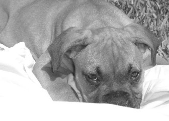 Getting sleepy
