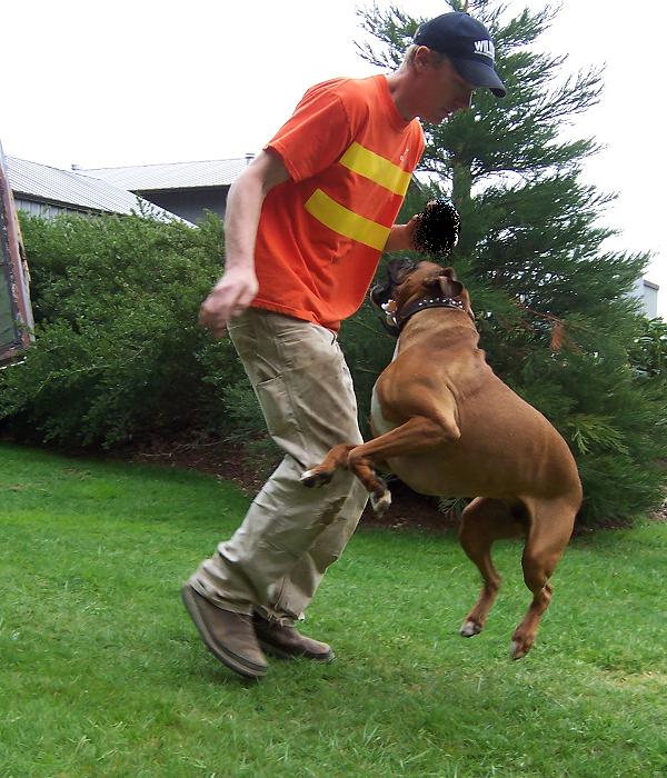 Getting some play time in