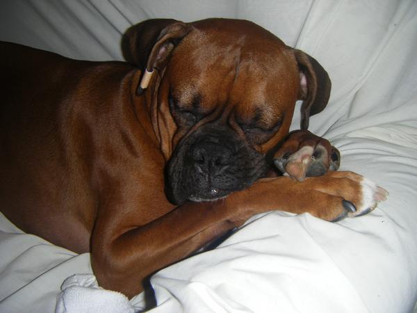 Getting some rest....