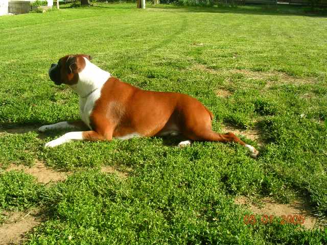 getting sun