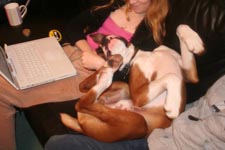 getting_comfy