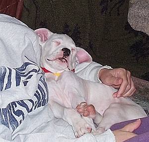 Getting_Comfy