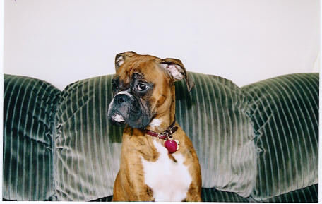 Gia2
