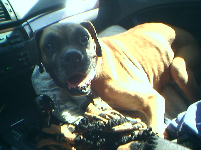 Gibney loved the car rides...