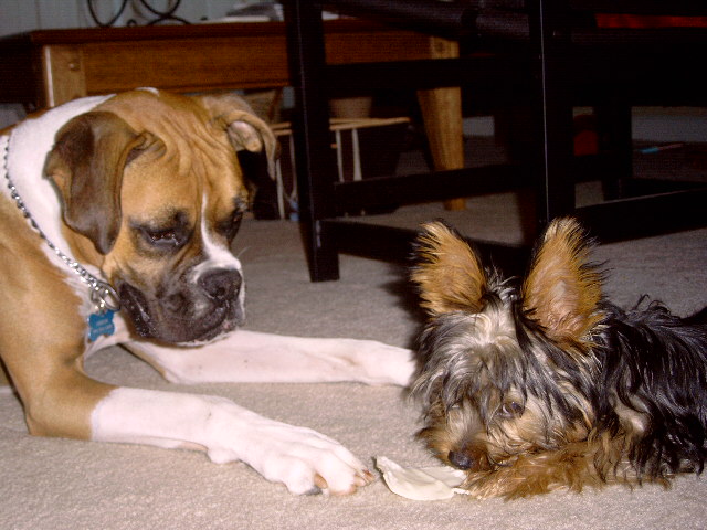 Gid and Teddie