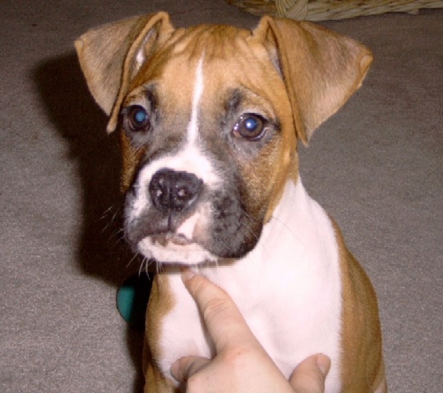 Gideon: 9 weeks