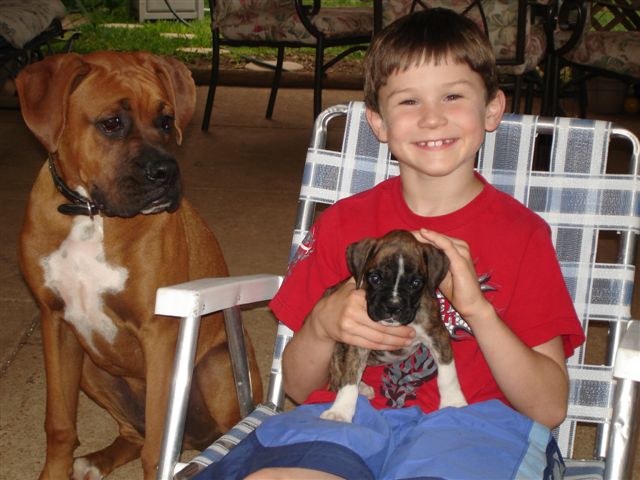 Gimli & Elvis with Parker