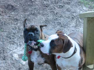 gimme that, it's mine !!!